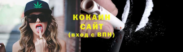 ALPHA-PVP Гусев