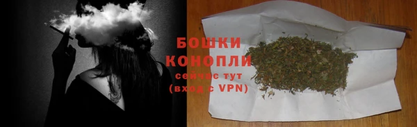 ALPHA-PVP Гусев