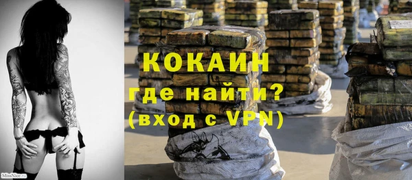 ALPHA-PVP Гусев